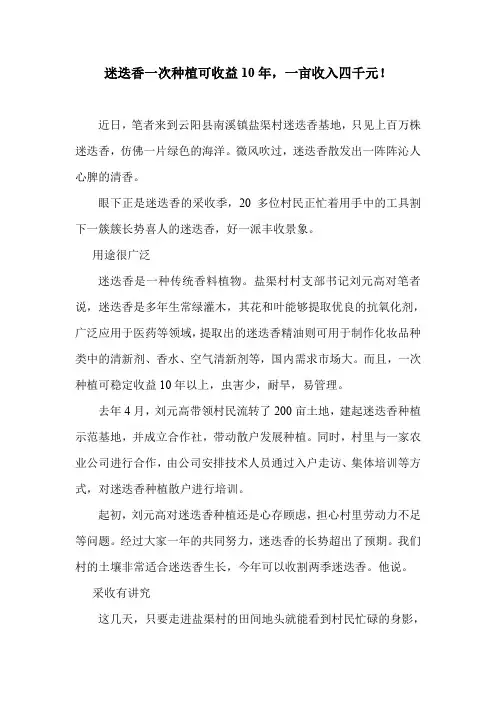 迷迭香一次种植可收益10年,一亩收入四千元!.doc