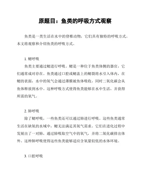 原题目：鱼类的呼吸方式观察