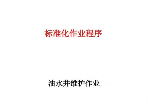 1标准化作业程序