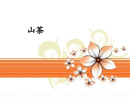 山茶ppt
