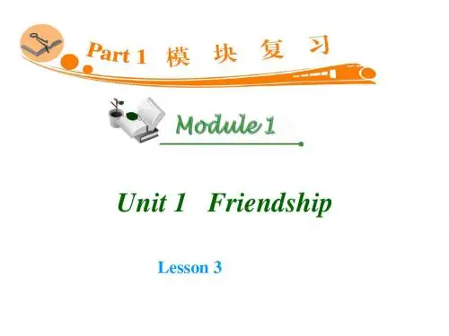 人教版高考英语一轮复习课件：Unit 1 Friendship Lesson 3 module1 unit1—3课件(共22张PPT)