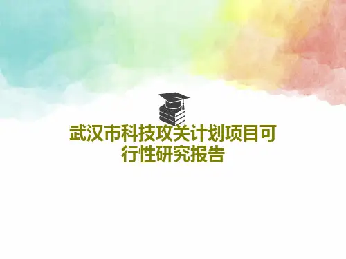 武汉市科技攻关计划项目可行性研究报告58页PPT