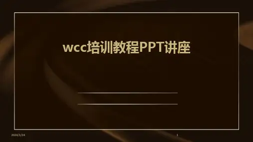 wcc培训教程PPT讲座(2024)
