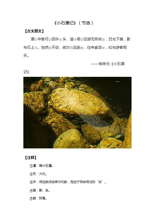 小初课外文言文阅读——《小石潭记》(节选)