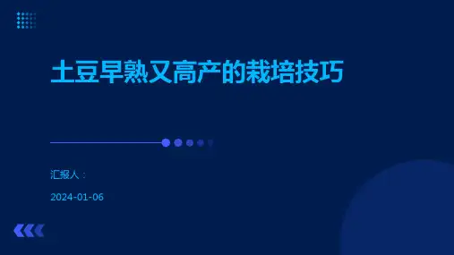 土豆早熟又高产的栽培技巧