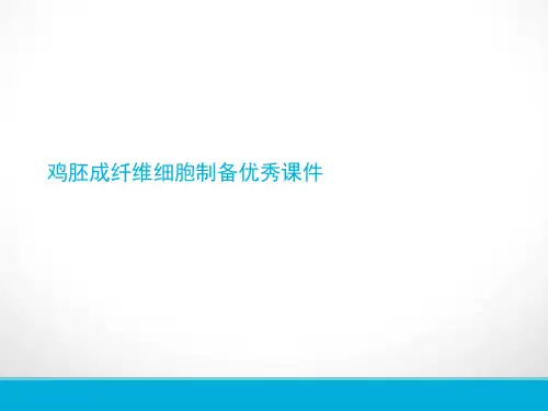 鸡胚成纤维细胞制备优秀课件