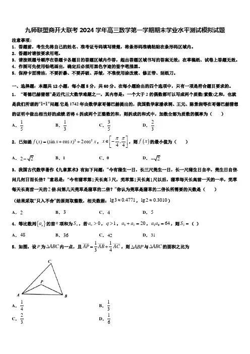 九师联盟商开大联考2024学年高三数学第一学期期末学业水平测试模拟试题含解析