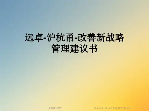 远卓-沪杭甬-改善新战略管理建议书
