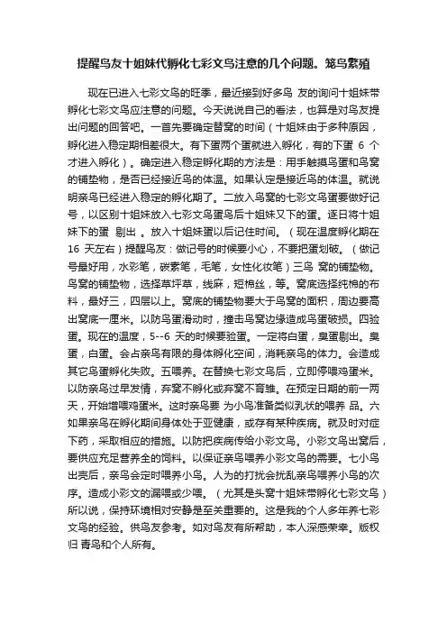 提醒鸟友十姐妹代孵化七彩文鸟注意的几个问题。笼鸟繁殖