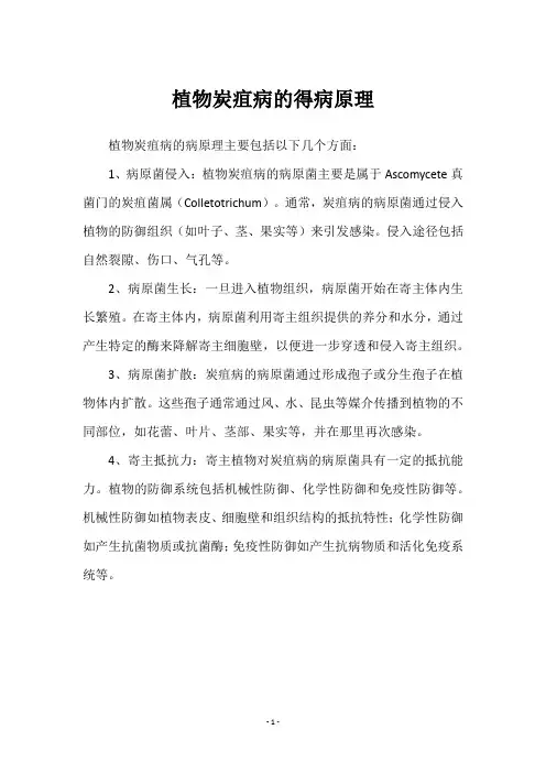 植物炭疽病的得病原理