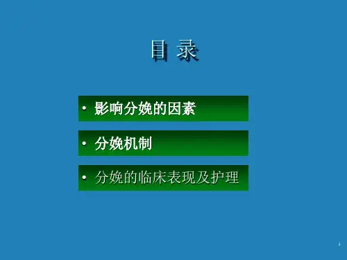 分娩期妇女护理-课件