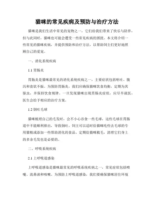 猫咪的常见疾病及预防与治疗方法