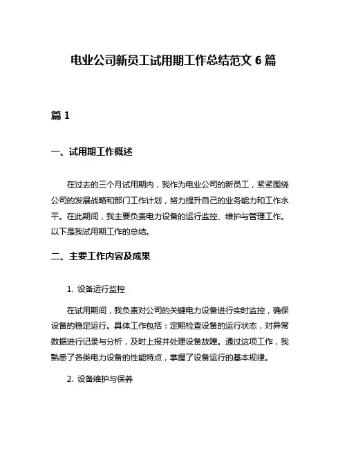 电业公司新员工试用期工作总结范文6篇