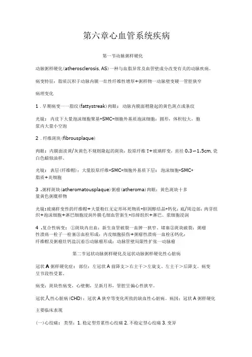 病理学章节复习-心血管系统(DOC)