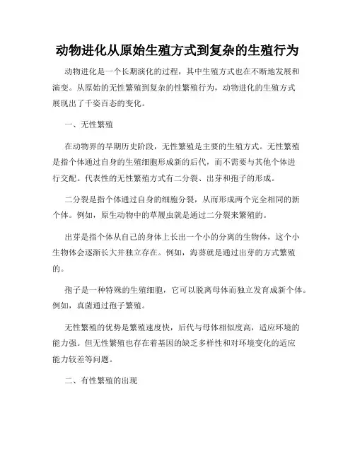 动物进化从原始生殖方式到复杂的生殖行为
