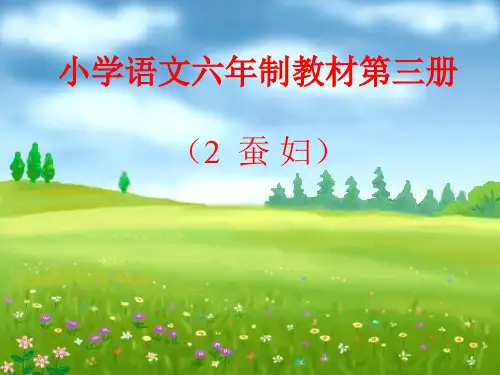 人教版蚕妇ppt教学课件