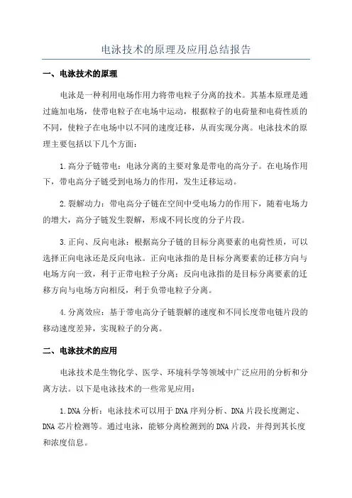 电泳技术的原理及应用总结报告