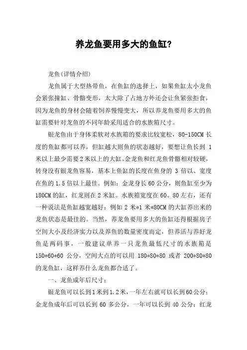 养龙鱼要用多大的鱼缸-