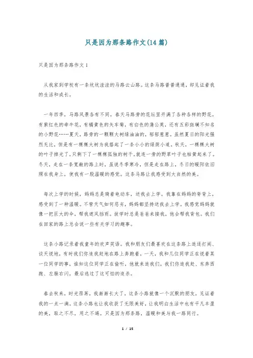 只是因为那条路作文(14篇)