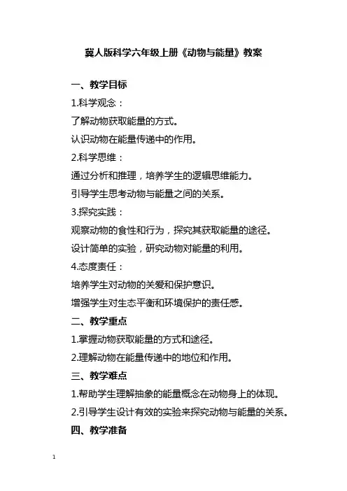 冀人版科学六年级上册《动物与能量》教案