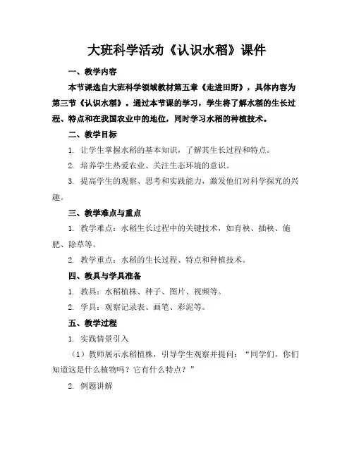 大班科学活动《认识水稻》课件