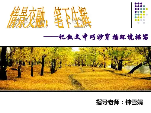 情景交融,笔下生辉——记叙文中巧妙穿插环境描写