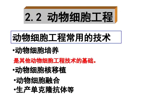 动物细胞培养和核移植技术-课件
