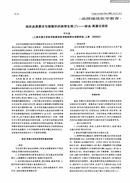 组织血液灌注与微循环的病理生理(7)——缺血-再灌注损伤