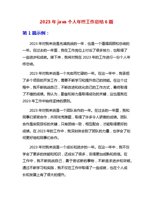 2023年java个人年终工作总结6篇