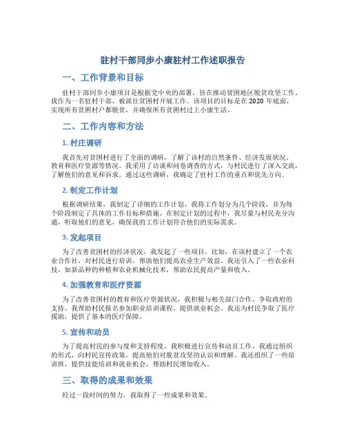 驻村干部同步小康驻村工作述职报告 (3)