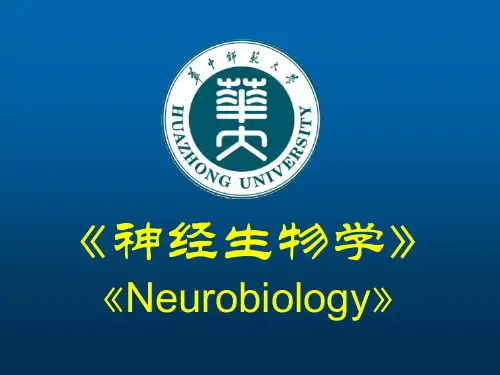 第1章 神经生物学绪论