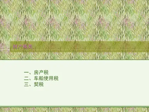 财产税类(PPT9页).pptx