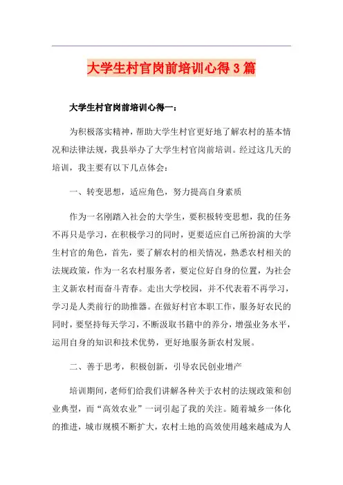 大学生村官岗前培训心得3篇