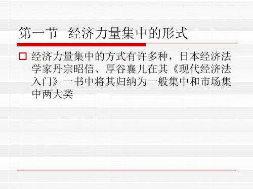 竞争法课件