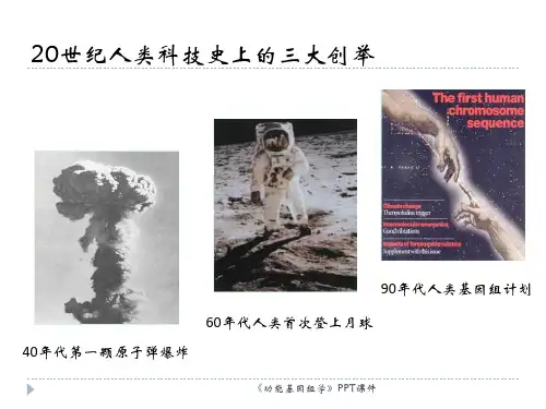 功能基因组学课件