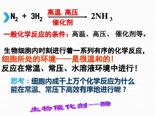 酶与酶促反应PPT课件