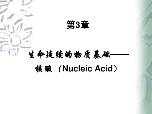 生物化学第三章核酸