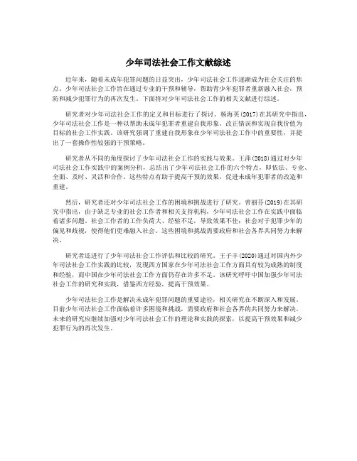 少年司法社会工作文献综述