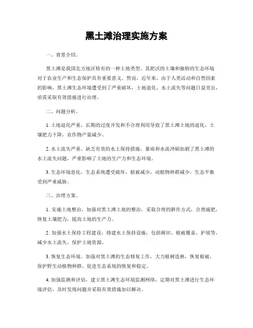 黑土滩治理实施方案