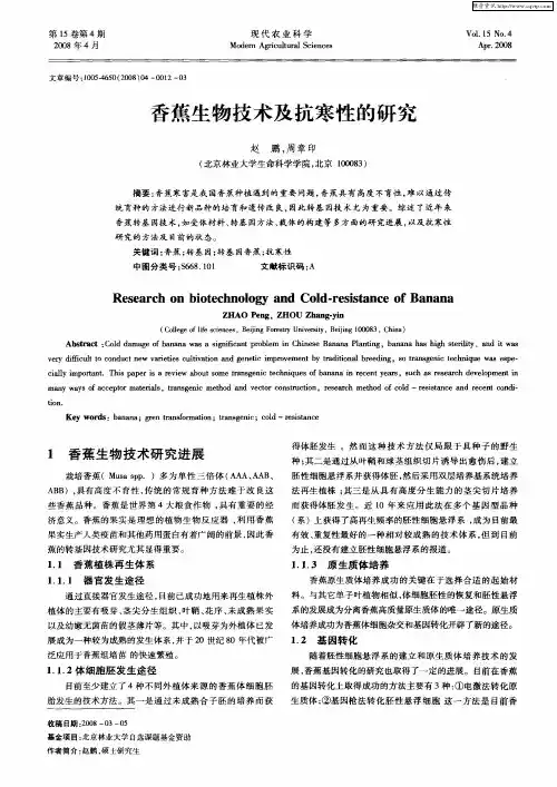 香蕉生物技术及抗寒性的研究