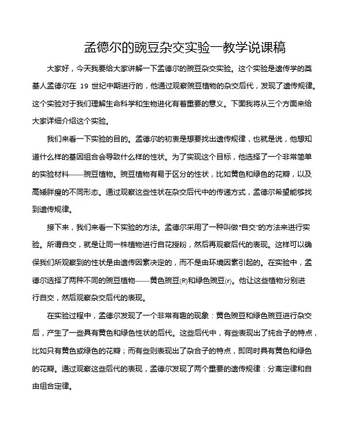 孟德尔的豌豆杂交实验一教学说课稿