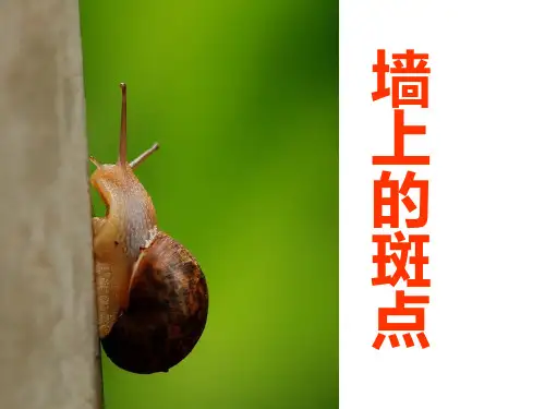 《墙上的斑点》优质课件