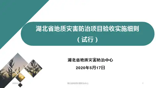 湖北省地质灾害防治项目验收实施细则(试行)(地灾中心)20200517