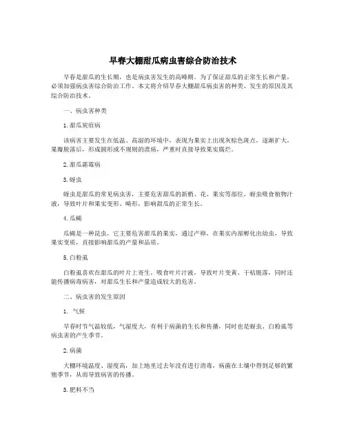 早春大棚甜瓜病虫害综合防治技术