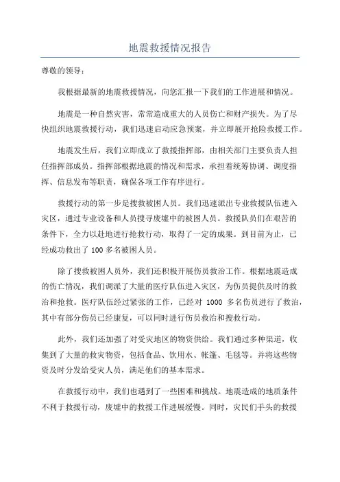 地震救援情况报告