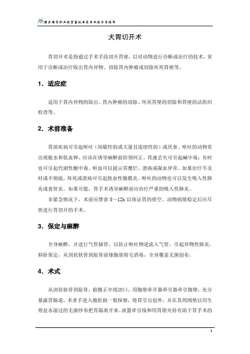 犬胃切开术(精)