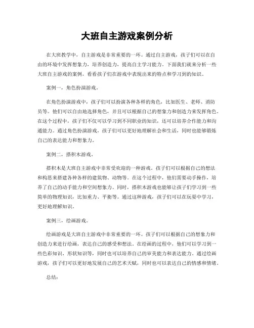大班自主游戏案例分析