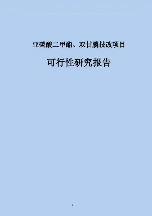 亚磷酸二甲酯、双甘膦技改项目可行性研究报告