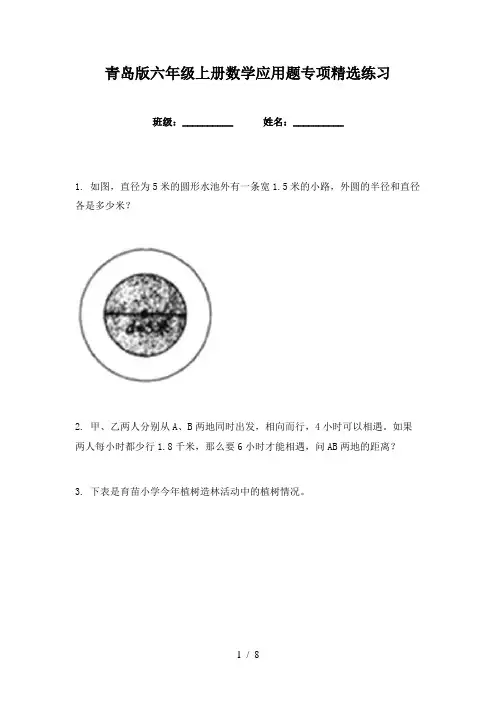 青岛版六年级上册数学应用题专项精选练习