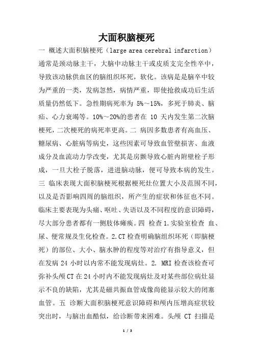 大面积脑梗死